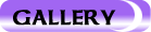 to Gallery