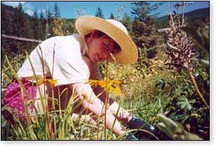 Helenora Gardening